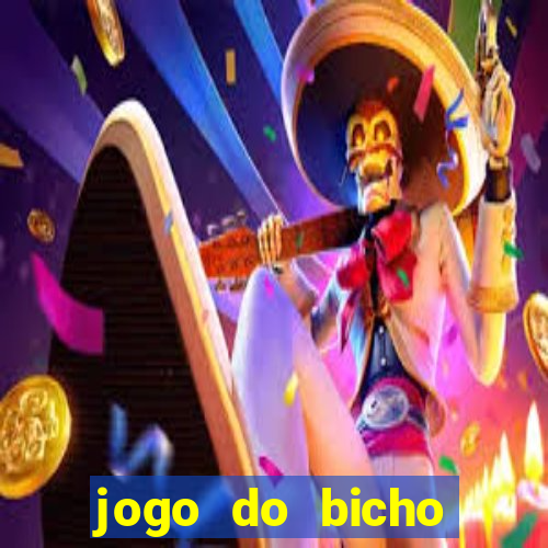 jogo do bicho crash bingo